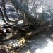 Maryland Rock Drilling and Blasting